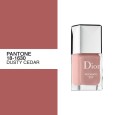 Gel Shine Long Wear Nail Lacquer In Incognito, Dior